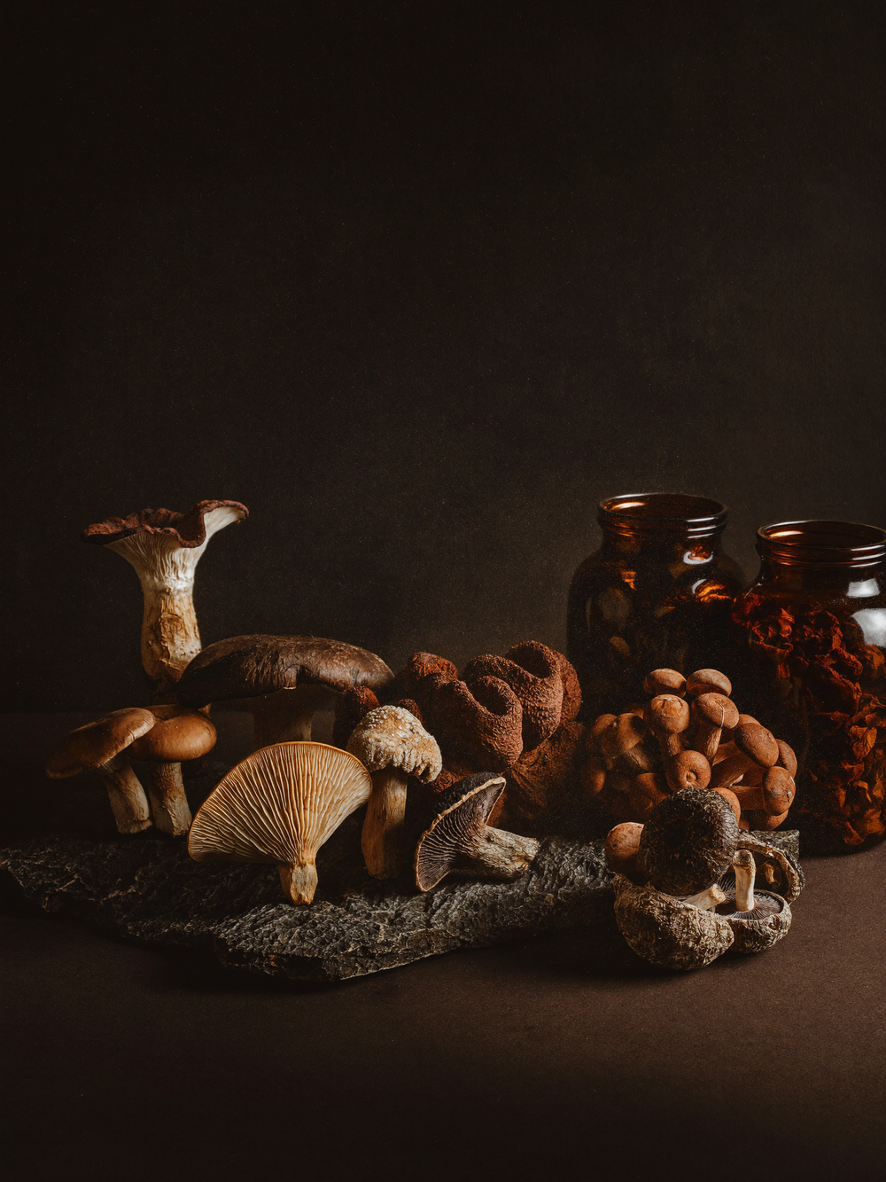 Mushroom Complex Supplements Explained: What 10-Mushroom Blends Actually Contain